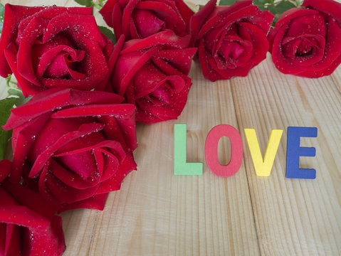 Red rose 15