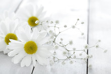 Daisy Flower On Wooden Background