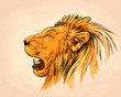 brush painting ink draw isolated lion illustration