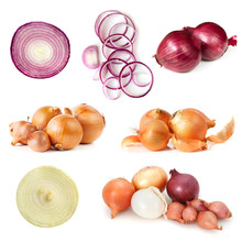 Onions Collection Isolated On White