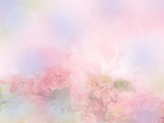 Wall Mural - sweet hydrangea flower
