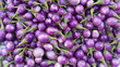 eggplant aubergine nature food violet background
