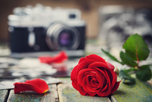 Red Rose Flower And Vintage Camera On Wooden Board, Photography Creative Concept
