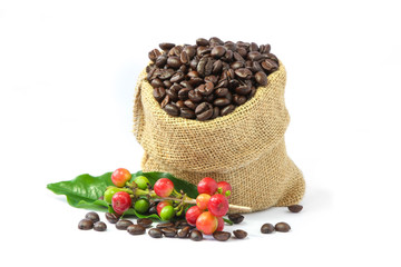 Roasted coffee beans in burlap sack with red and green coffee beans berries.