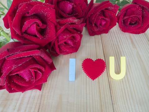 Red rose 21