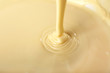 © Africa Studio - Background of condensed milk in a bowl, close-up