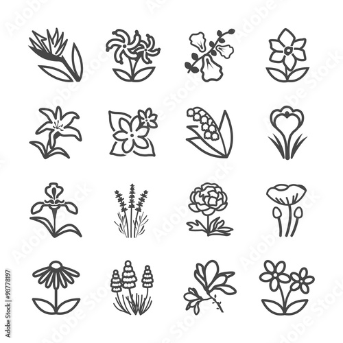 Fotografía Famous Flower line icons Set 2