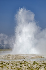 Yellowstone national park