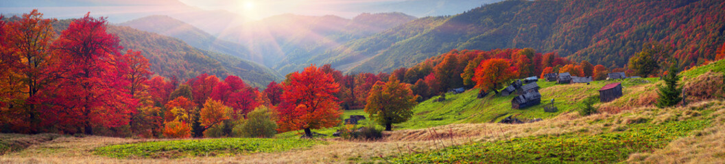 autumn on the pasture