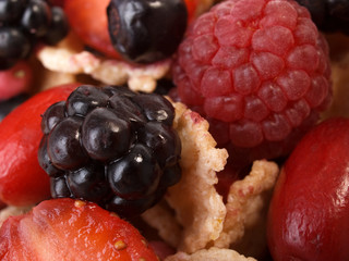 Wall Mural - Cereal breakfast with berries