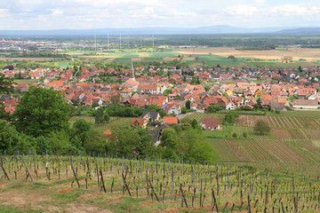 Wall Mural - Alsace village de Kintzheim France
