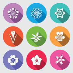 Wall Mural - Botany flower set. Camomile, daisy, petunia, chrysanthemum, orchid, forget-me-not, crocus, saffron, cornflower. Floral, herbs symbol. Round blue flat icons with long shadow. Vector isolated