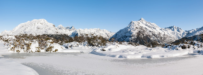 Wall Mural - Panoramic view along the Routeburn track, Mount Aspiring N.P., New Zealand.