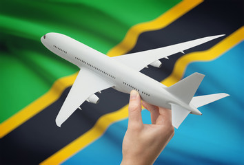 Wall Mural - Airplane in hand with flag on background - Tanzania