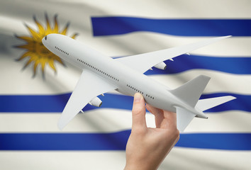 Airplane in hand with flag on background - Uruguay