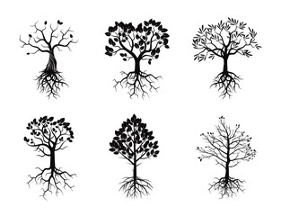 Wall Mural - Set of Black Trees and Roots