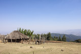 Fototapeta  - Farm and home in Ethiopia
