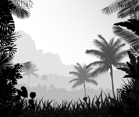  The forest landscape of foggy with palm tree