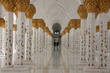 © slonik_003 - Abu-Dhabi. Sheikh Zayed mosque