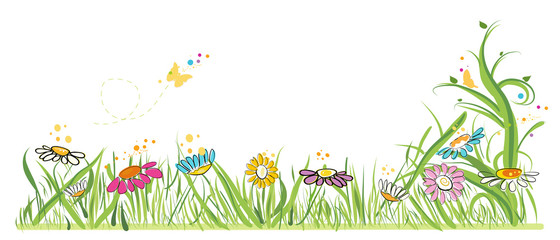 Colorful daisy field in spring time vector illustration