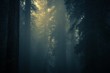 Spooky Dense Forest Fog