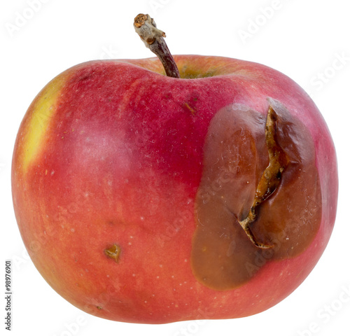 Fotografia, Obraz Red rotten apple isolated on white background