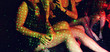 Legs of many girls in night club with spots of party lights