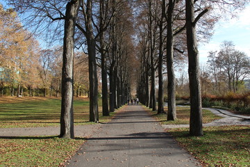 Wall Mural - Autumn Park