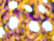 Defocused yellow and purple abstract christmas background.