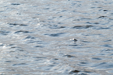 The water surface in the autumn on the river