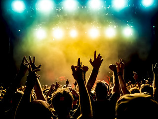 cheering crowd at a rock concert