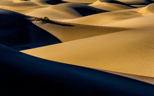 Dune Shadow Patterns