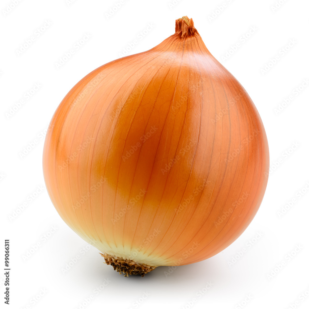 Fresh onion bulb isolated on white. With clipping path. - obrazy, fototapety, plakaty 