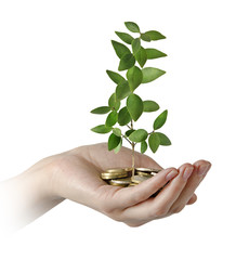 Investing to green business