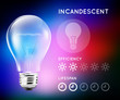 Incandescent halogen light bulb infographic with approximate estimate of energy and efficiency. Vector illustration.