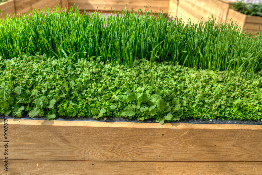 StockFoto „Blumenkasten“ Adobe Stock