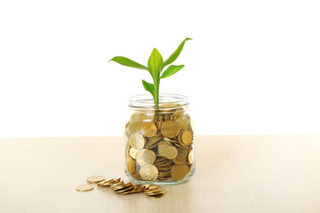 Sticker - Money and growing sprout in glass jar on table