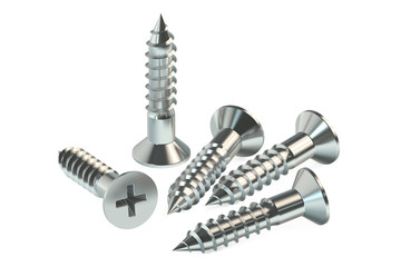 Poster - screws