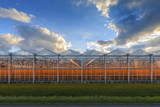 Fototapeta  - side view of an agricultural greenhouse against a moody sky