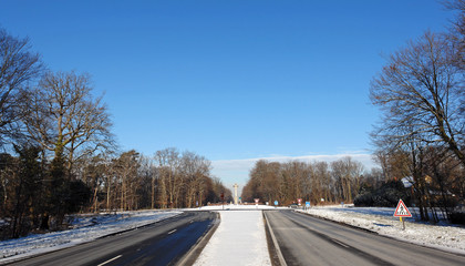 Canvas Print - forêt de fontainebleau sous la neige