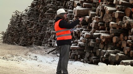 Poster - Engineer using tablet PC near to piles of logs in winter