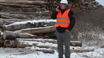 Poster - Engineer talking on the smartphone near to piles of logs