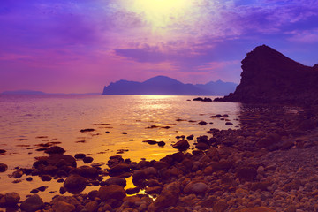 Wall Mural - purple sunset over rocky beach