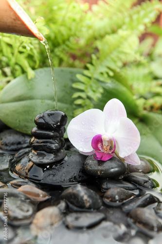 Obraz w ramie Orchidée blanche