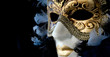 Venitian carnival mask