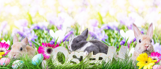 Wall Mural - easter spring 