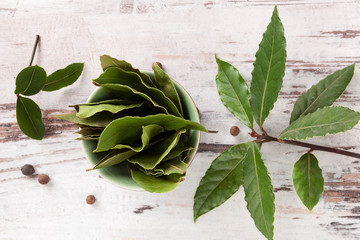 Canvas Print - Bay leaves background.