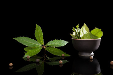 Canvas Print - Bay leaves isolated on black.