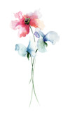 Fototapeta Storczyk - Stylized flowers