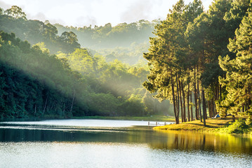 Wall Mural - pang ung , reflection of pine tree in a lake , meahongson , thai